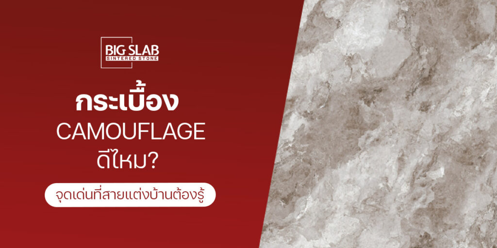 กระเบื้อง Camouflage ดีไหม? จุดเด่นที่สายแต่งบ้านต้องรู้