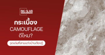 กระเบื้อง Camouflage ดีไหม? จุดเด่นที่สายแต่งบ้านต้องรู้