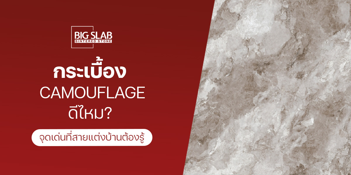 กระเบื้อง Camouflage ดีไหม? จุดเด่นที่สายแต่งบ้านต้องรู้
